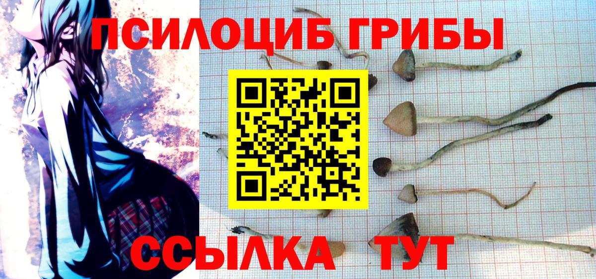 Псилоцибиновые грибы GOLDEN TEACHER Туймазы