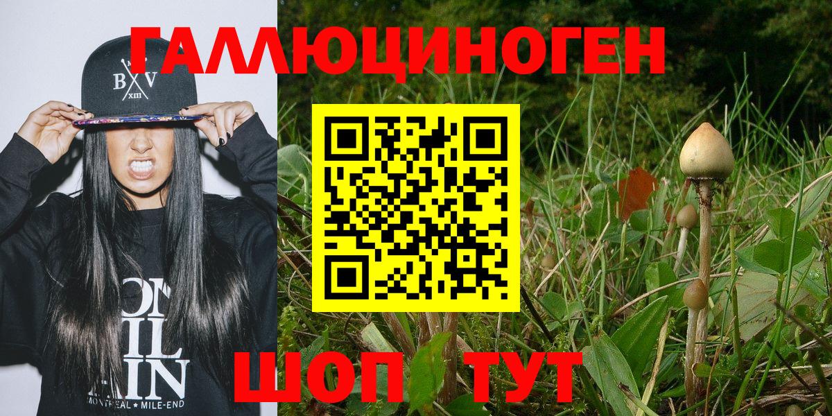 Туймазы  Псилоцибиновые грибы мухоморы  Вход с VPN 